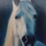 Cheval Artiste peintre animalier